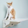CatS猫家具猫墙系列之墙上跳台 实木生态板猫窝猫咪用品 F包邮 商品缩略图2