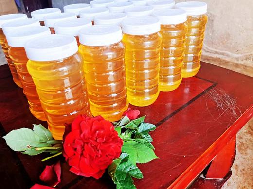 宜宾南广大益大红岩山下：老父亲家的土蜂蜜 商品图2