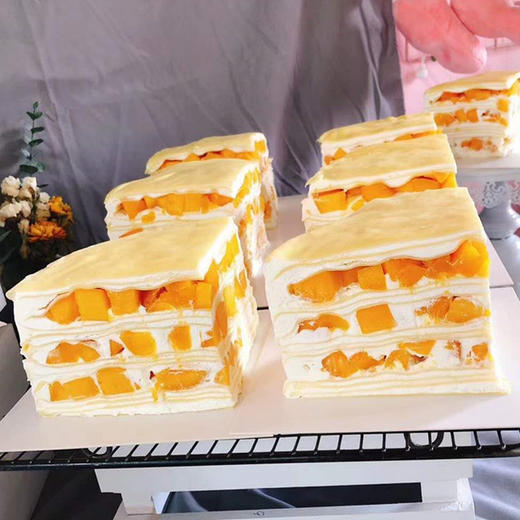 芒果千层 商品图2