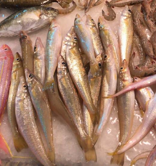 沙尖鱼 中 商品图0