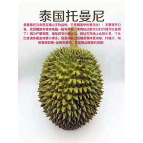 正宗托曼尼(泰国猫山王)榴莲