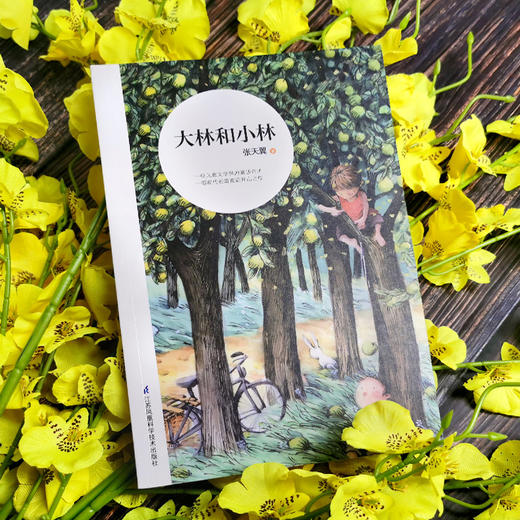 大林和小林 商品图3