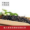 红茶.大树茉莉滇红 | 茶香浓郁 | 公平贸易 | 基地直发 包邮 * Jasmine Black Tea In Yunnan | Fair Trade 商品缩略图2