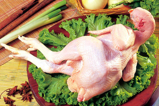 散养老母鸡 商品图0