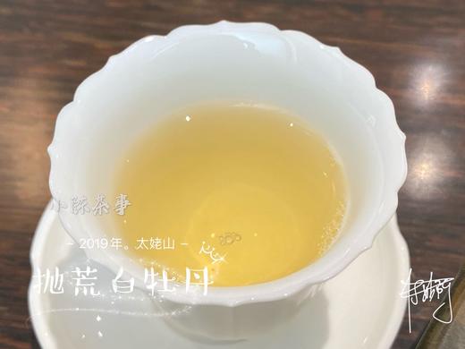 2019太姥山抛荒白牡丹《春山空》（100克罐装） 商品图9