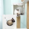 CatS猫家具旋转猫爬架 猫窝猫架猫树猫抓柱猫跳台 XZ 送垫子 包邮 商品缩略图2