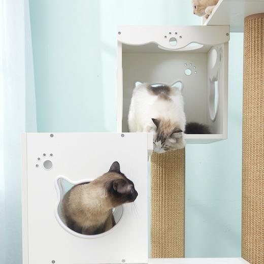 CatS猫家具旋转猫爬架 猫窝猫架猫树猫抓柱猫跳台 XZ 送垫子 包邮 商品图2