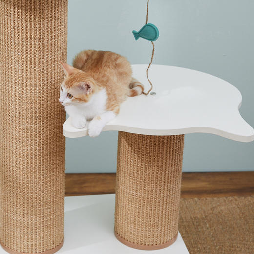 CatS猫家具高低强力猫抓柱 木制猫床猫窝 储物空间 粗剑麻G1b包邮 商品图2