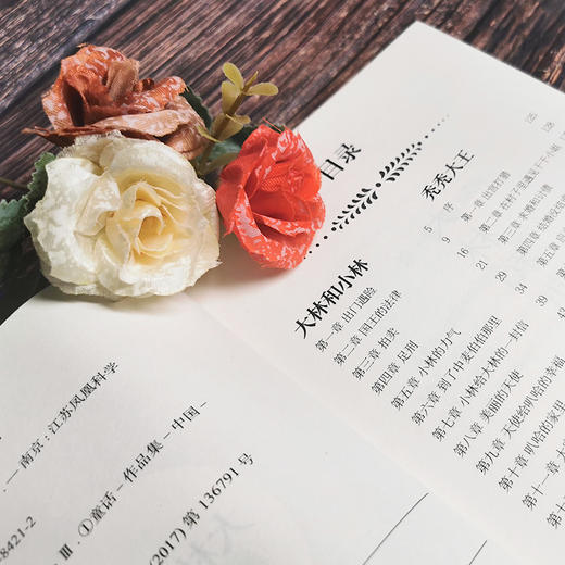 大林和小林 商品图2