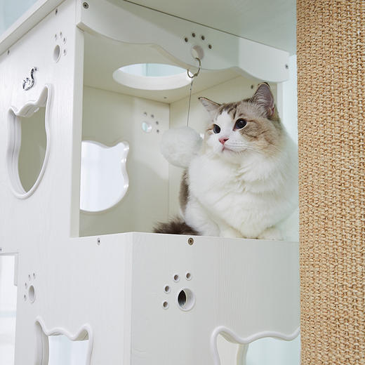 CatS猫家具猫爬架竖猫厕所爬架 木制全封闭猫砂盆 剑麻柱 D4 送垫子 包邮 商品图1