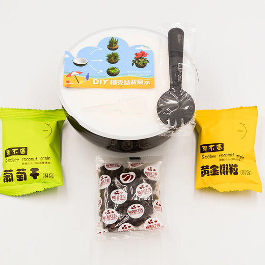 网红椰子冻1-4个装黄金椰粒椰奶冻椰果冻新鲜新鲜布丁 商品图6