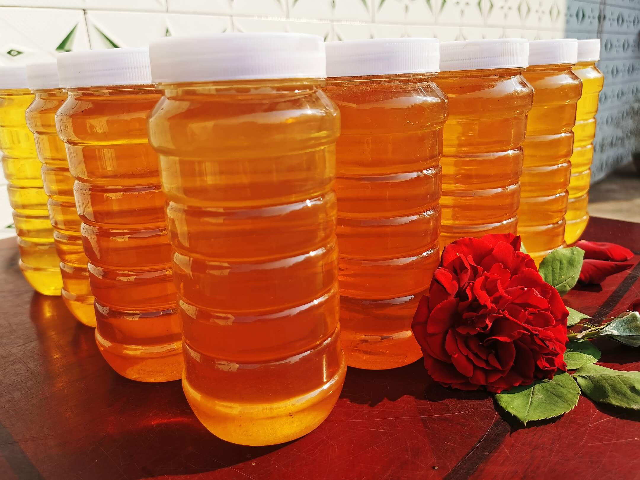 宜宾南广大益大红岩山下：老父亲家的土蜂蜜