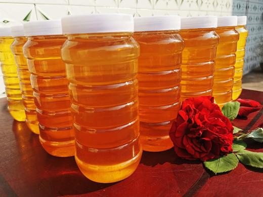 宜宾南广大益大红岩山下：老父亲家的土蜂蜜 商品图0