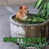 yjn 无规格->多规格 -> 无规格 商品缩略图0