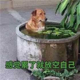 yjn 无规格->多规格 -> 无规格