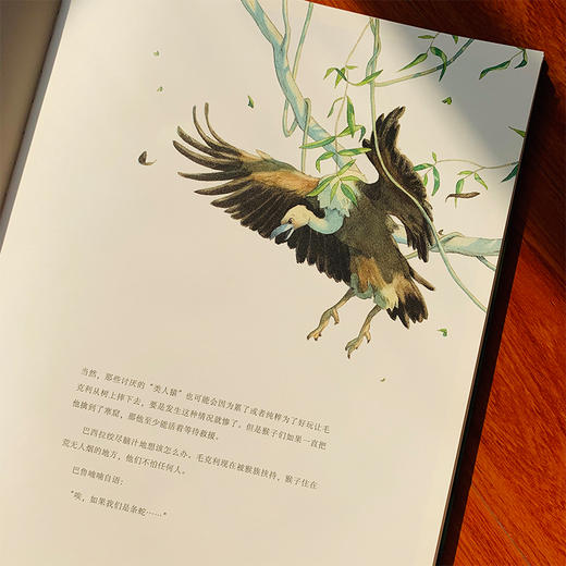 《奇幻森林》迪士尼同名电影诺贝尔文学奖得主作品 爱与勇气责任智慧规则3-6-8-12岁 布克若见儿童绘故事书精装硬壳大开103页 商品图3