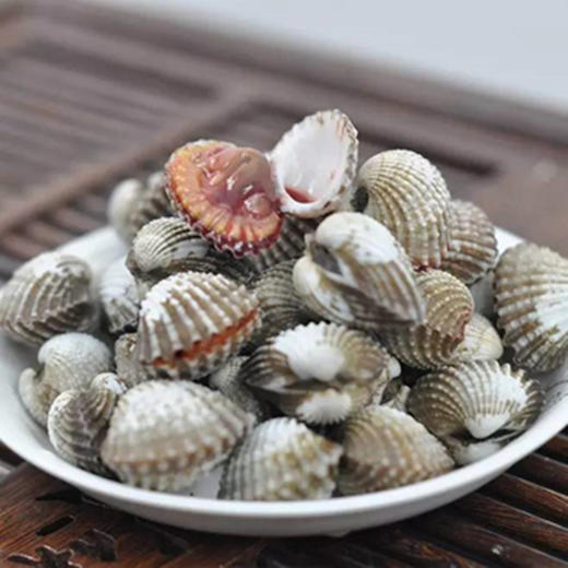 新鲜血蚌 商品图1