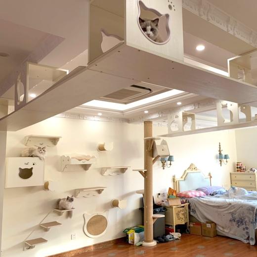 CatS全屋定制之 空中猫走廊 配防滑垫 包邮 可出设计图 商品图3