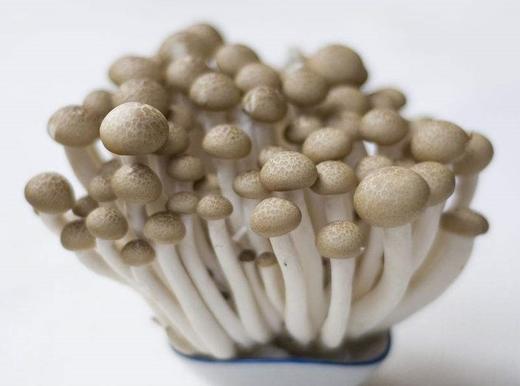 新鲜白玉菇蟹味菇125克