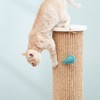 CatS猫家具强力猫抓柱猫抓板磨爪器 大号立式剑麻猫咪玩具 G包邮 商品缩略图2