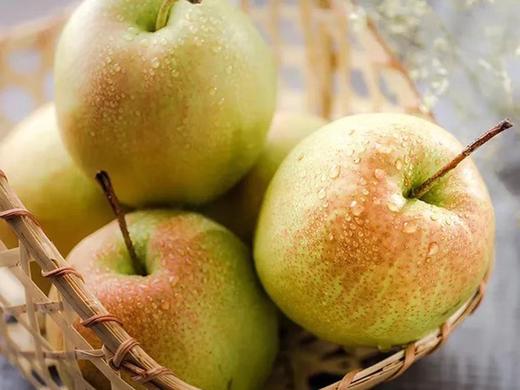 口袋买手山西隰县玉露香梨果中王者一盒9个7斤左右