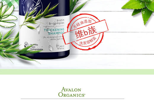 郑州保税直发 美国AVALON阿瓦隆维b族无硅油洗发水 414mlJPY带授权招加盟代理 商品图1