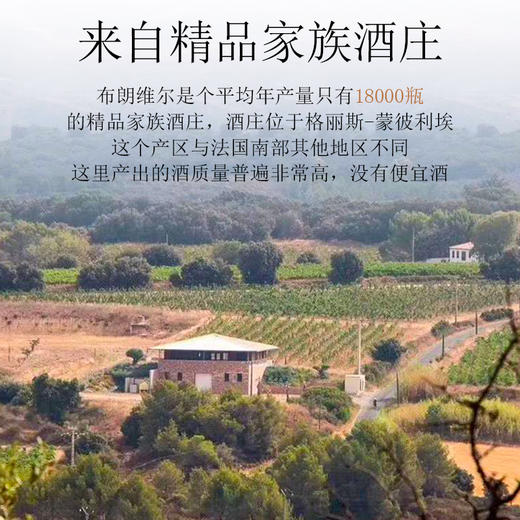 法国朗格多克原瓶进口特酿 获奖 红酒超重勃艮第瓶 商品图4