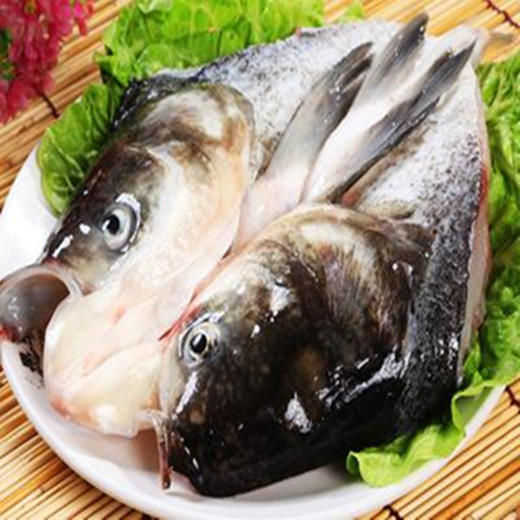 松鱼头 商品图0