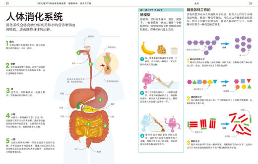 DK图解数学、科学技术与工程   适合5-12岁 数学推理思维训练书 商品图6