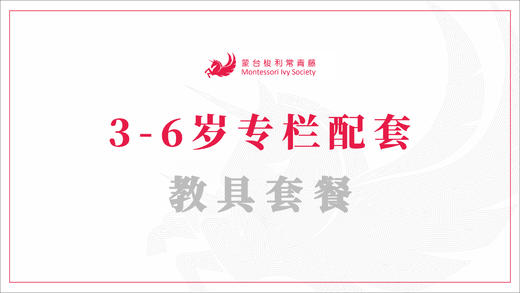 3-6岁专栏配套教具套餐(A) 商品图0