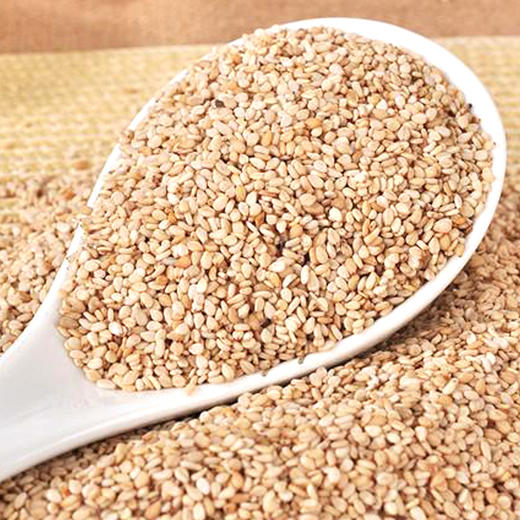 散白芝麻(500g±50g) 商品图0