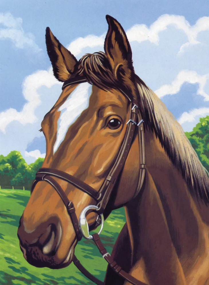 【温莎牛顿】rvs高级数字油画-马头