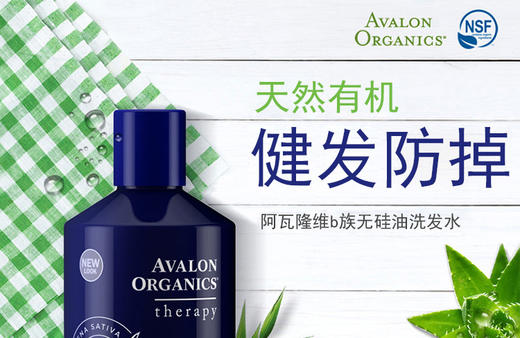 郑州保税直发 美国AVALON阿瓦隆维b族无硅油洗发水 414mlJPY带授权招加盟代理 商品图0