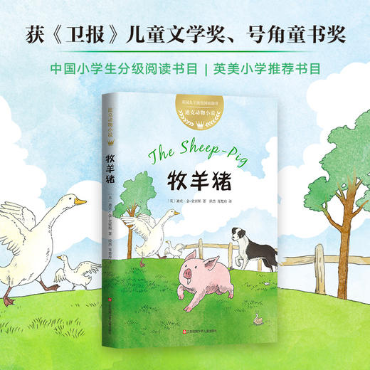 牧羊猪 商品图1
