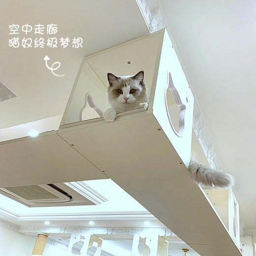 CatS全屋定制之 空中猫走廊 配防滑垫 包邮 可出设计图 商品图2
