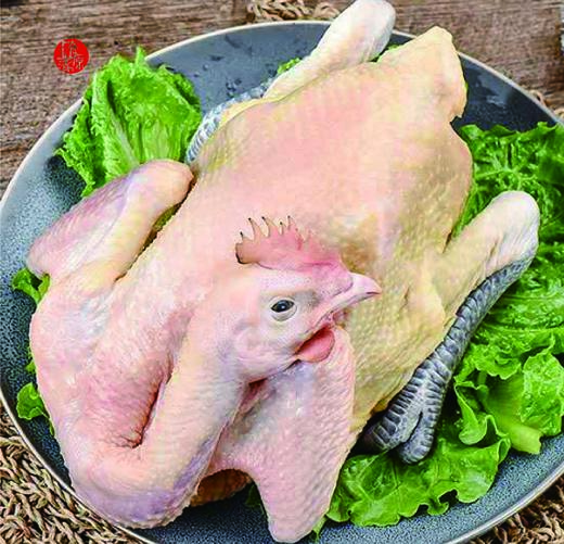 鲜杀黑脚鸡白条1只2832斤