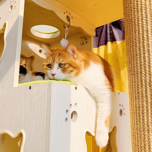 CatS彩色麻布慢回弹海绵爬架垫CatS猫家具专用 仅供老客户 包邮 商品图3