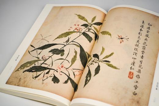 芥子园画传 画谱 康熙李渔版原寸原色全彩图 山水树石兰竹梅菊草丛珍禽翎毛花卉 江西美术精品力作 国画入门 初学者  临摹收藏皆宜--江西美术出版社欢迎您！ 商品图3