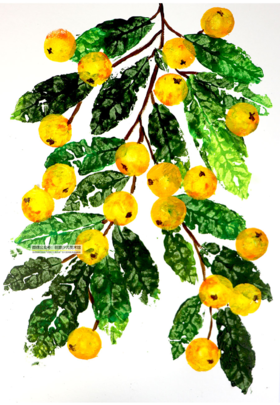 《金灿灿的枇杷》低幼【自动发货：下单后，点击手机短信中收到的链接，即可获取文件下载的链接；如有任何问题，可添加客服微信hm33268获得帮助】