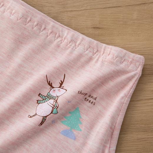 （一盒两条）少女童少男童孩童莫代尔彩纱精梳棉学生裤平角内裤0047/0050 商品图6