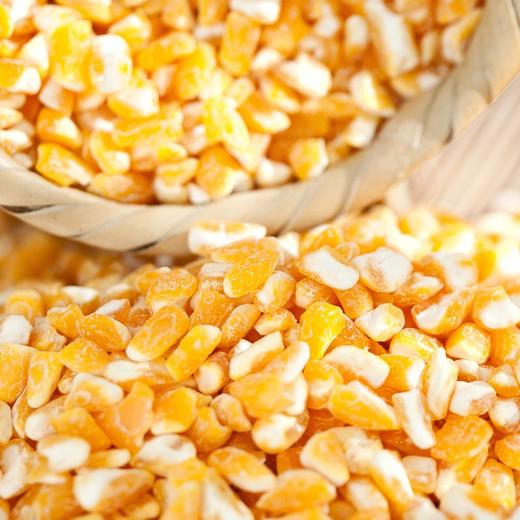 散1号黄玉米馇(500g±50g) 商品图0
