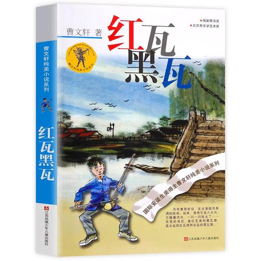 红瓦黑瓦 商品图0