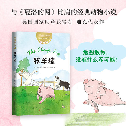 牧羊猪 商品图2