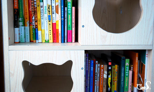 CatS猫家具书柜 人猫共用猫别墅储物柜实木生态板猫爬架 送垫包邮 商品图2