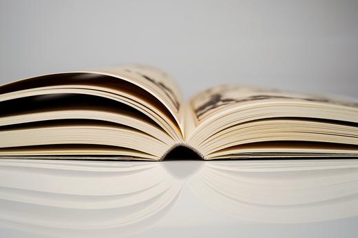 芥子园画传 画谱 康熙李渔版原寸原色全彩图 山水树石兰竹梅菊草丛珍禽翎毛花卉 江西美术精品力作 国画入门 初学者  临摹收藏皆宜--江西美术出版社欢迎您！ 商品图2