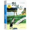 曹文轩纯美小说系列:野风车 商品缩略图0
