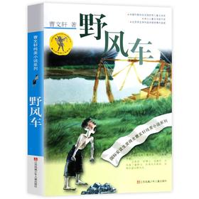 曹文轩纯美小说系列:野风车