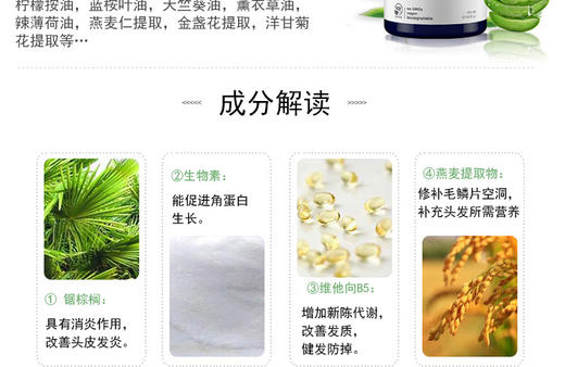 郑州保税直发 美国AVALON阿瓦隆维b族无硅油洗发水 414mlJPY带授权招加盟代理 商品图3