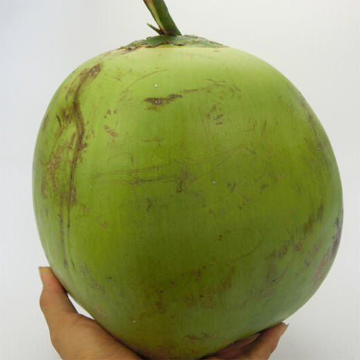 【2颗|现摘新鲜】海南新鲜带皮椰子2颗(重约 6—8斤)【当天提货】 商品图8