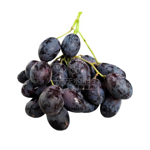 妮娜皇后葡萄 皮薄  甜甜的果粉浓郁葡萄 商品图12